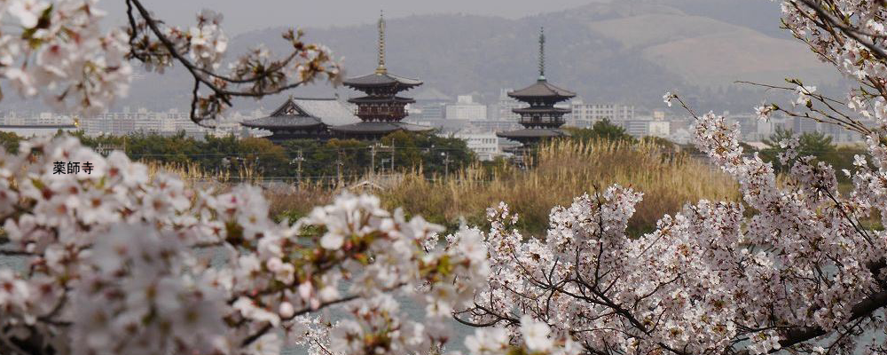 ヘッダーイメージ